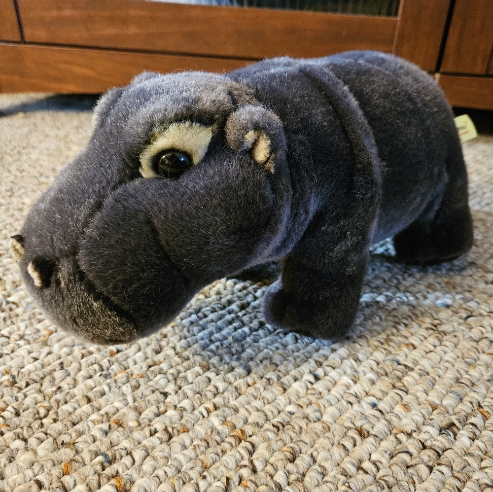Aurora Miyoni Hippo